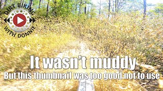 Bear Whiz Enduro | SERA Round 9 | New Augusta, MS - 9/11/2022 | YZ250FX