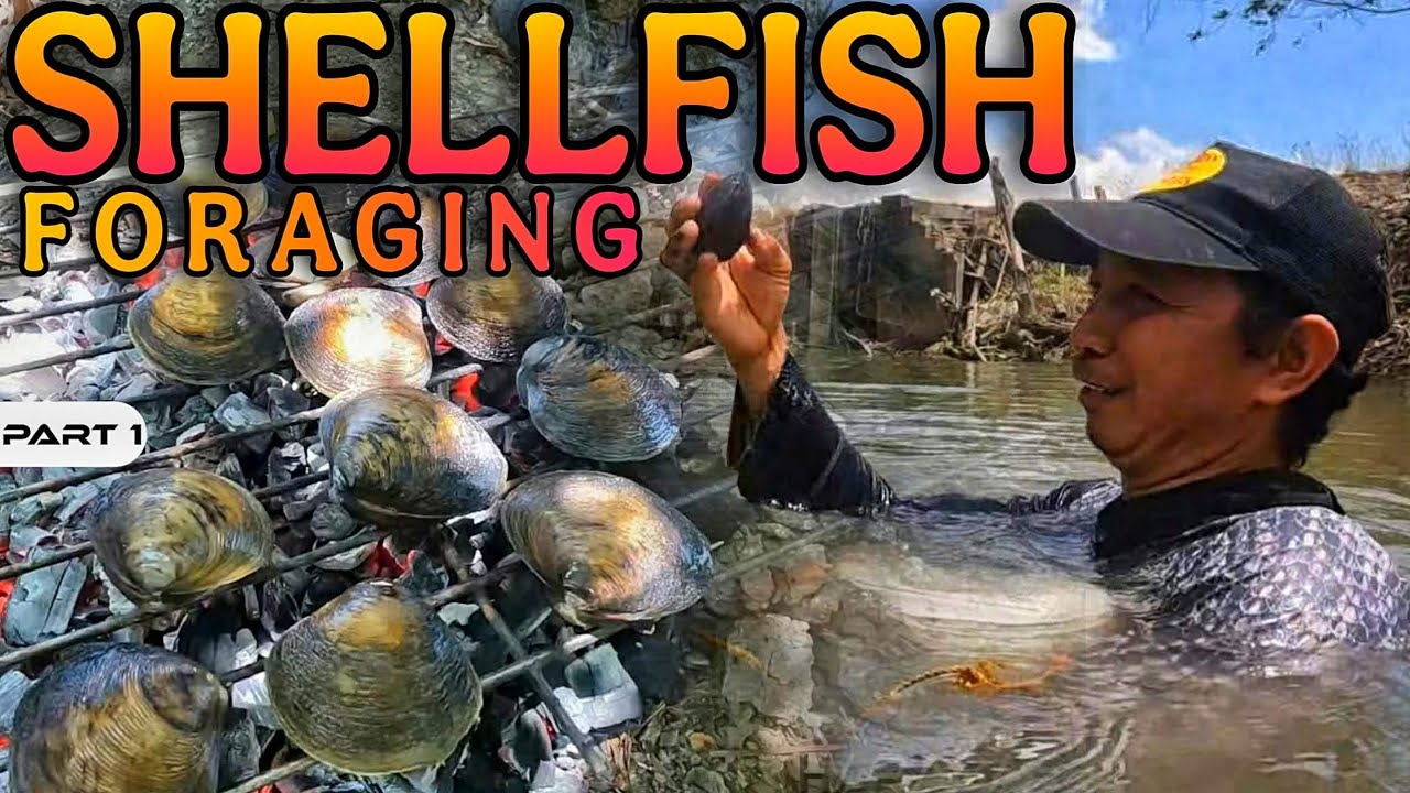 P1 - River Foraging Adventure: Catching Freshwater Shellfish! - EP2263 ...