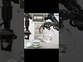 DeepCybo Robot Delicate Move Demo #robot #1million #automobile