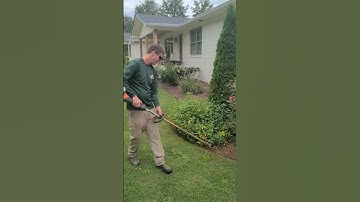 Lawn Edging Like a BOSS!