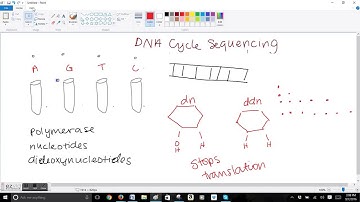 DNA Cycle Sequencing