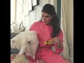 Jacqueline fernandez doing dance in front of her persian cat