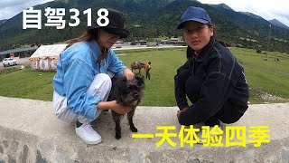 在西藏加油居然还要登记！自驾318，从林芝到波密，这完全是一个四季都有的神奇世界