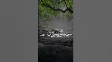 تلاوة خاشعة من سورة إبراهيم بصوت القارئ إسلام صبحي، ترتيل يلامس القلوب ويضيء الأرواح بنور
