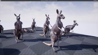 Kangaroo Unreal