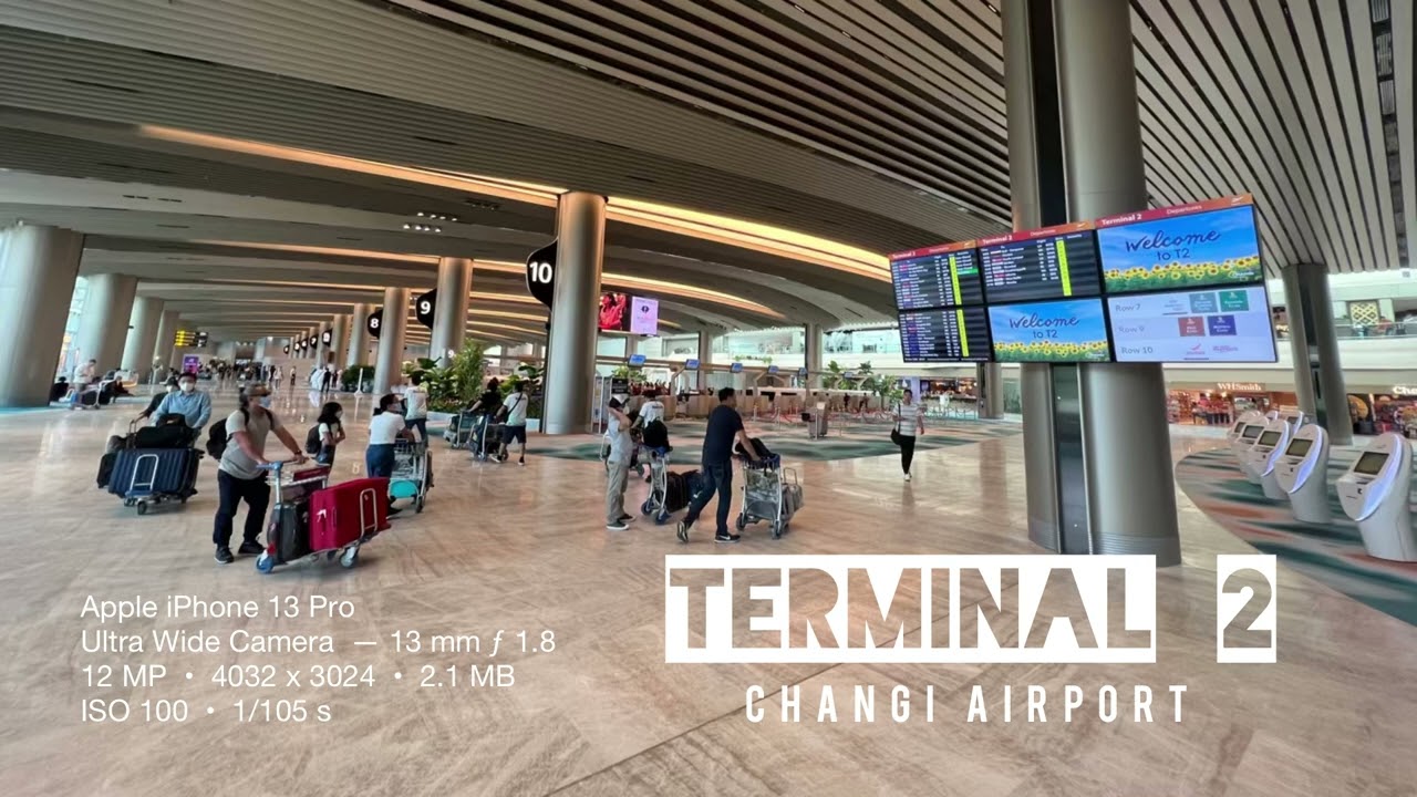 Singapore Ambient | Terminal 2, Changi Airport