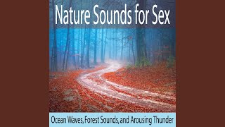 Soft Thunder With Soothing Rain