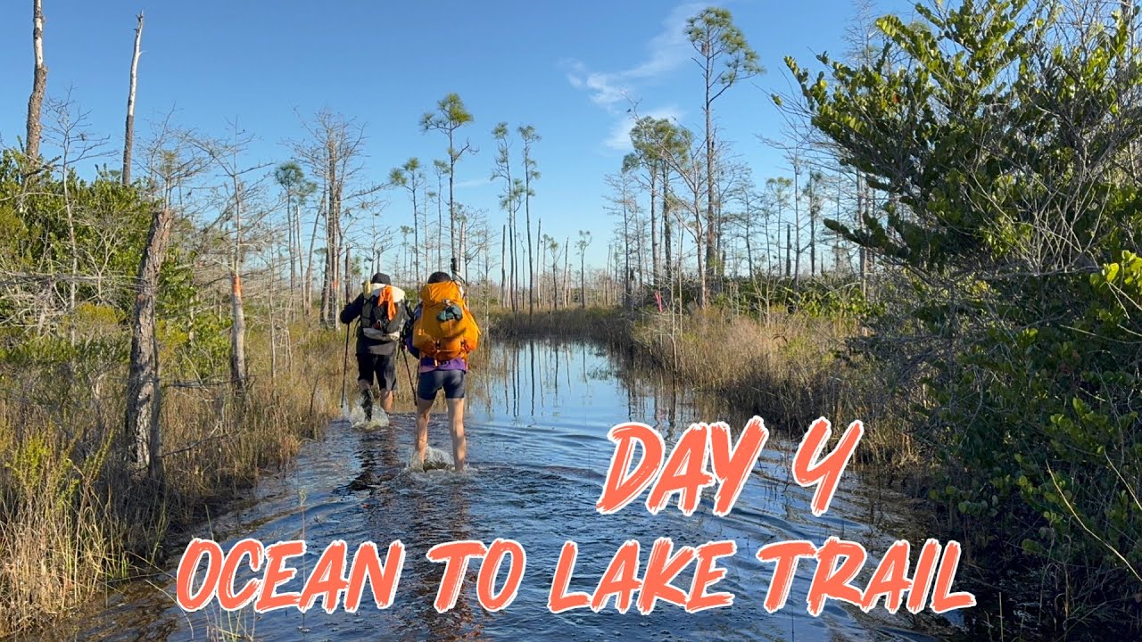 Поход по тропе «От океана до озера» — День 4: Сегодня был болотистый и насыщенный событиями день!