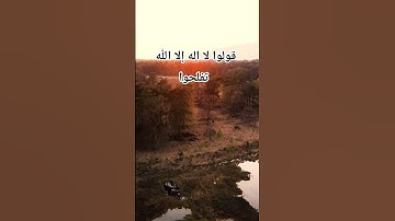 #تلاوة_خاشعة #quran #like #اكسبلور #viral #viralvideo #دويتو #duet #لايك #الرحمن
