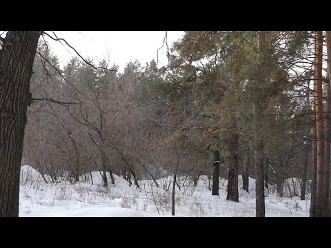 Пропал человек. В