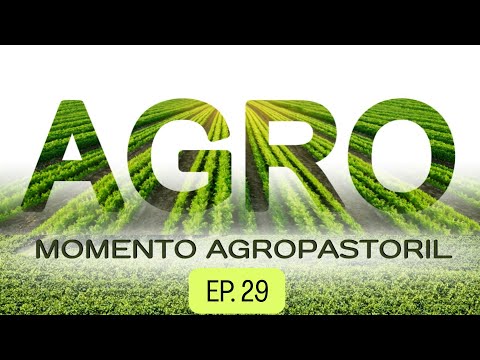 26/01/2025 - [MOMENTO AGROPASTORIL] - Igreja Cristã Maranata - 07H30 - EP.29