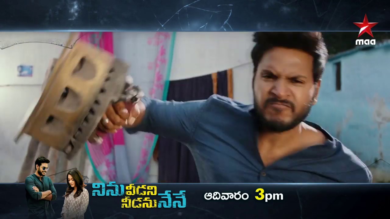 Sundeep Kishan's #NinuVeedaniNeedaniNene World Television Premiere...This Sunday at 3 PM tollywood box office