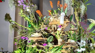 Découverte rapide de l'espace d'exposition du WOC 2026 à Dresde en Allemagne