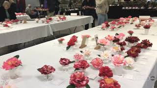 Camellia Show and Sale