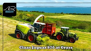 Claas Jaguar 970 | North Coast Silage with Claas Tractors \u0026 Herron Trailers