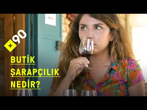 Video: Kaliforniya Şarap Ülkesine Nasıl Gidilir?