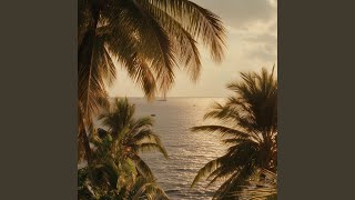 Tropics
