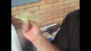 BAT CHEESE the art of making a bat from cheese