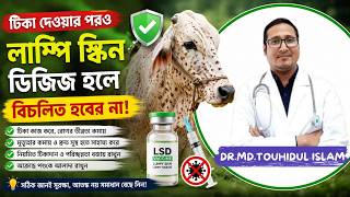 টিকা দেওয়ার পরও লাম্পি স্কিন ডিজিজ হলে বিচলিত হবেন না।
