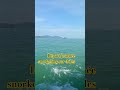 journée snorkeling sur 4 îles #thailand #travel #beach #nature #fish #snorkeling