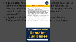 ⚖️ Los principios del REMAJU garantizan transparencia, publicidad y acceso seguro.
