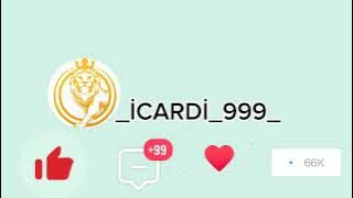 TİK TOK SEYFEMİ MEYENİN