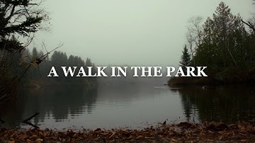 A Walk In The Park | Canon T5i (700D) Magic Lantern RAW 4K Upscale
