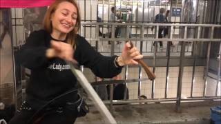 Musical saw busker in the NYC subway כמו צמח בר