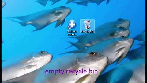 Recover deleted mp4 videos from GoPro camera