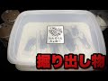 世界最大級の昆虫展示即売会で購入したもの【第79回インセクトフェア】