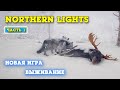 НОВОЕ ВЫЖИВАНИЕ НА СИБИРСКОМ МОРОЗЕ - Northern Lights