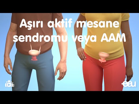 Aşırı aktif mesane sendromu veya AAM