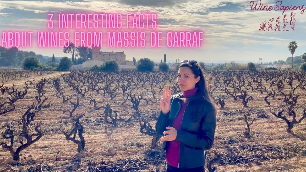 3 Interesting Facts about Wines from Massis de Garraf