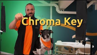 Domina el arte del croma: ¡Aprende a crear efectos increíbles en tus vídeos!