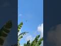 Boeing 777