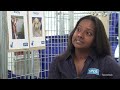 Animal shelters swamped, 4000 pets waiting for homes as cost of living crisis takes toll  | Newshub