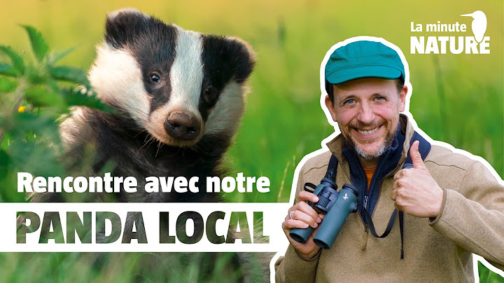 Sur les traces du blaireau (No 392)