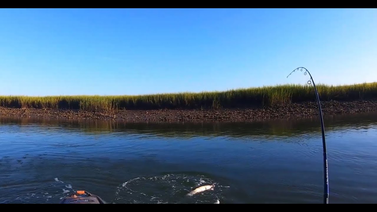 Speckled Sea Trout and a Small Redfish Kayak Fishing Charleston SC