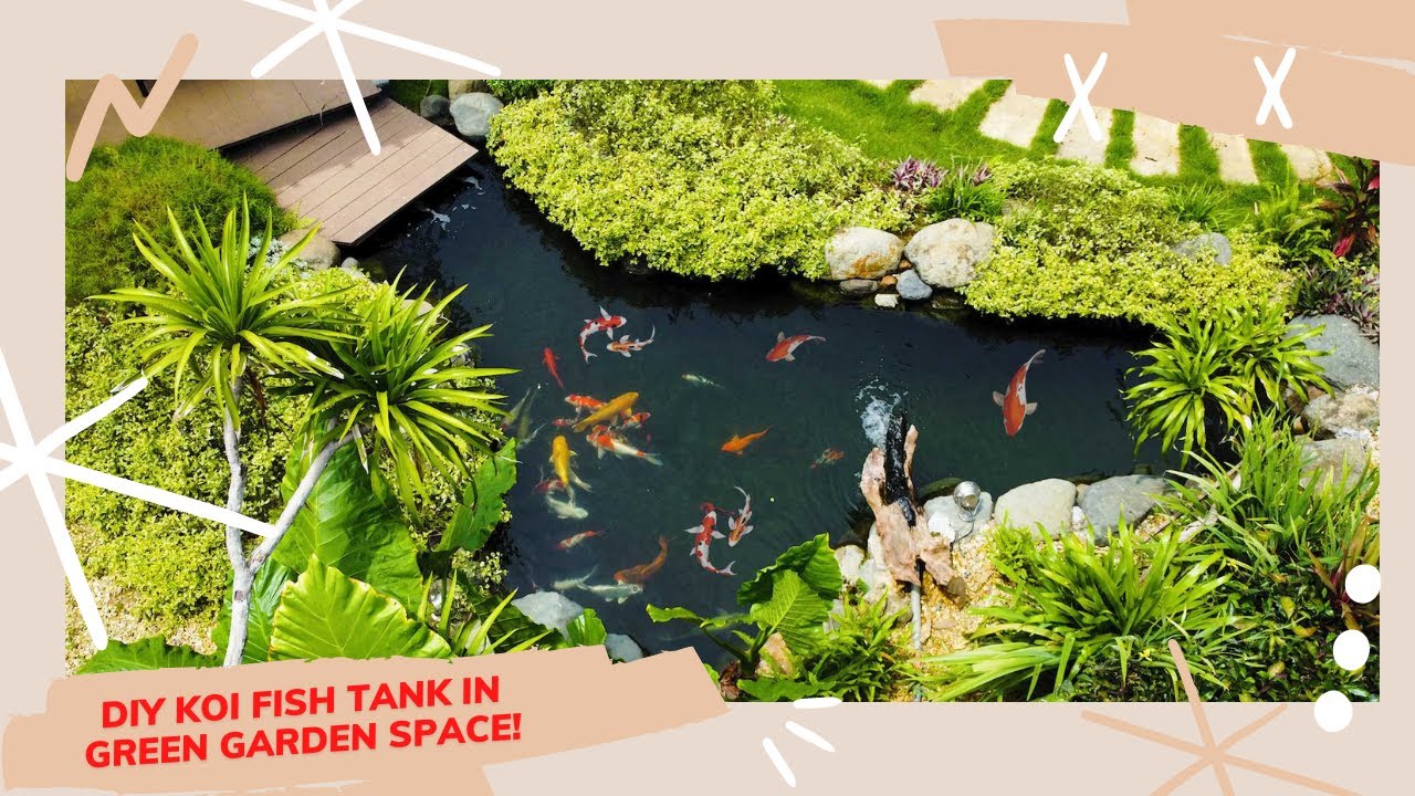 DIY Koi fish tank in green garden space