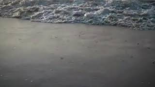 Kabaddi With Waves l Fort Kochi screenshot 5