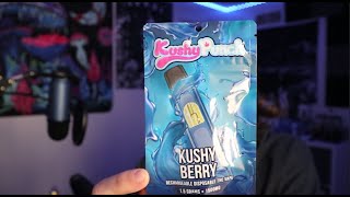 Kushy Berry Kushy Punch Disposable!!
