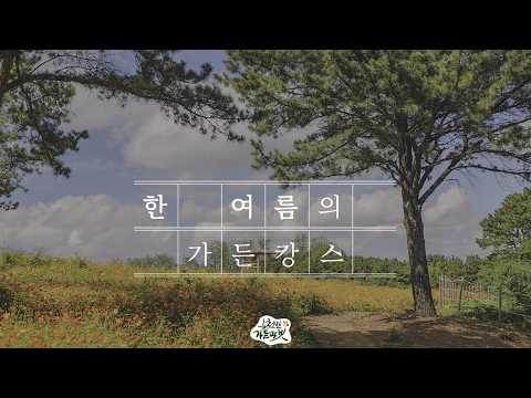 폭염 탈출! 에어컨 빵빵한 순천 '식물캉스' 성지🌿 순천만가든마켓
