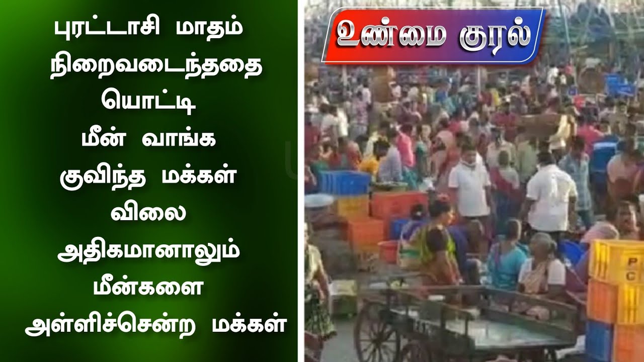 புரட்டாசி மாதம் நிறைவடைந்ததையொட்டி மீன் வாங்க குவிந்த மக்கள் - YouTube