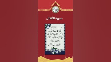 تلاوة عطرة من سورة الأنفال
