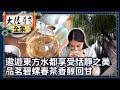 【大陸尋奇EP1916】天下第一食府 江蘇蘇州  20211128