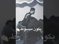 حمو الطيخا لايف مكسر مصر كامل مش كل اما اضحك تفتكروني بكون مبسوط 