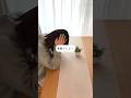 一生解約できないサブスク始まる #shorts