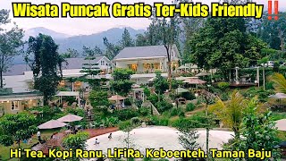 Free Entrance Fee for Many Playgrounds‼️Full Review of Hi Tea, LiFiRa, Keboenteh, Kopi Ranu