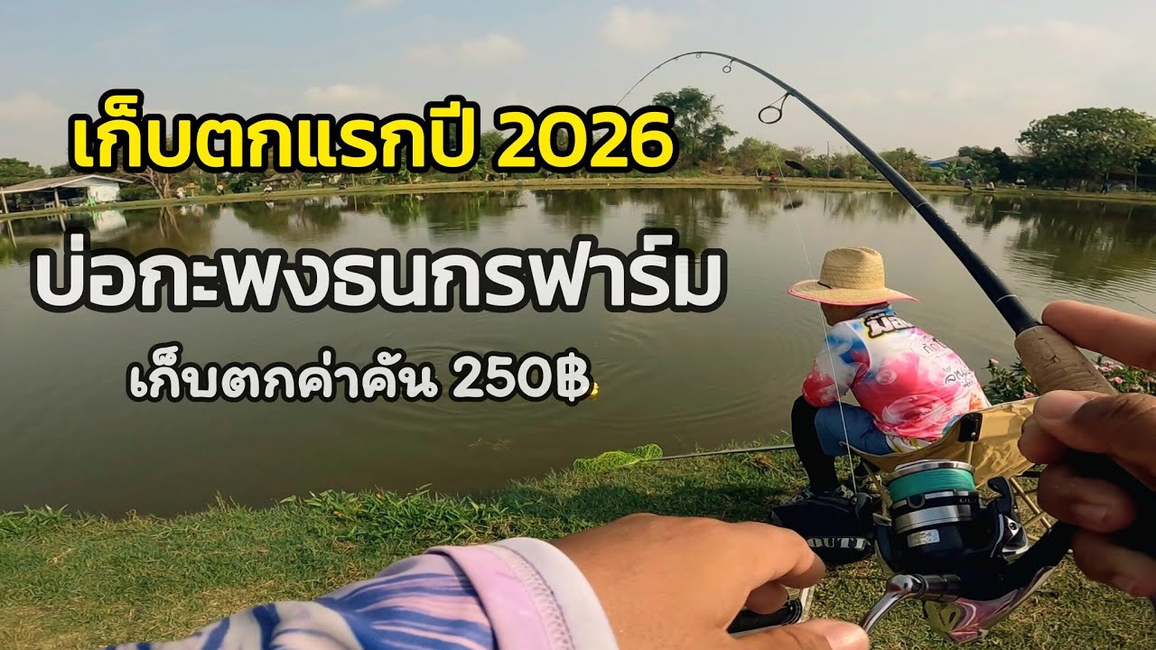 รวยนะ.. ลู้ววววยางงงง |เก็บตกกะพงบุฟเฟ่ต์ ที่บ่อธนกรฟาร์ม | 18/01/2026