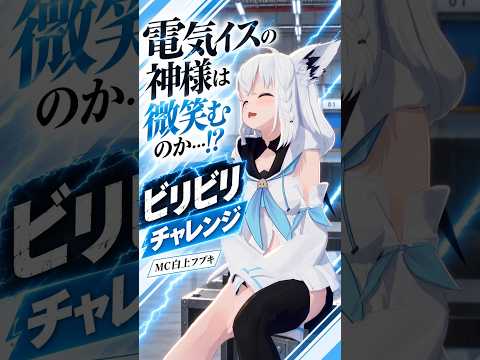 【電気イスの神様は微笑むのか…！？】　MC白上フブキ！ビリビリチャレンジ  #ホロライブ #切り抜き #shorts